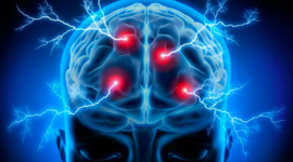 Timeline: Evolución de la Neurociencia de la Conducta