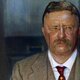 Theodore roosevelt