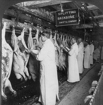 The Meat inspection Act