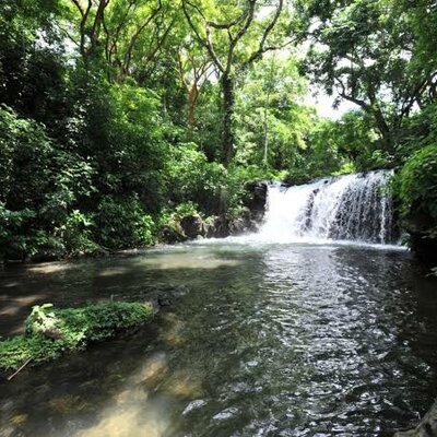 Timeline: Ecología.