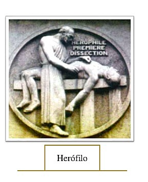 Herofilo de Caicedonia 335A.C - 280 A.C