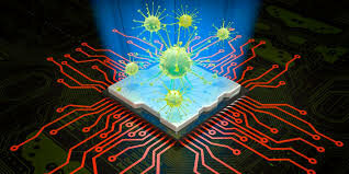 PRIMER VIRUS (GUSANO)