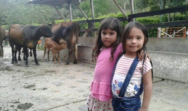 La meva primera vegada munyint vaques