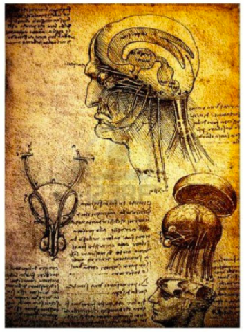 El renacimiento- Da Vinci 1452 D.C - 1519 D.C