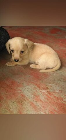 Volvió la felicidad a la casa