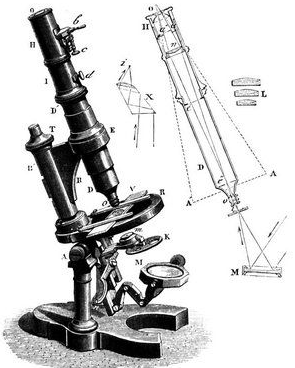 El Microscopio en la Neurociencia- Antón van leeuwenhoek 1632- 1723