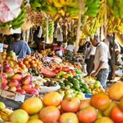 Timeline: Food Systems Development