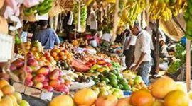 Timeline: Food Systems Development