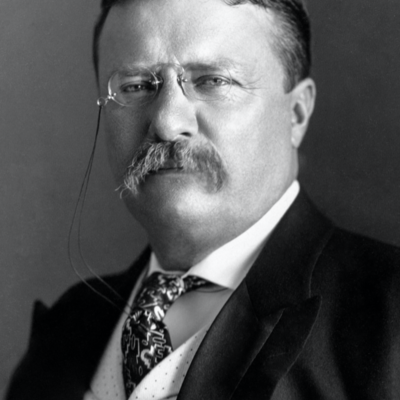 Timeline: Teddy Roosevelt Timeline