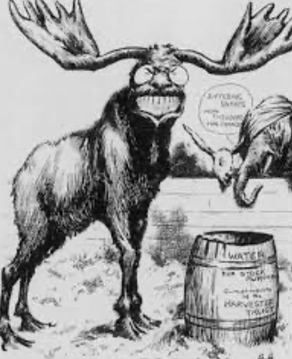 TR Runs for presidency in Bull-Moose Party