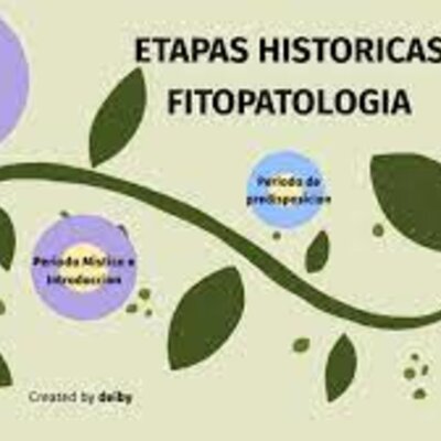 Timeline: Fitopatologia -  Historia de los conceptos de causa y enfermedad: paralelismo entre la Medicina y la Fitopatología