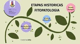 Timeline: Fitopatologia -  Historia de los conceptos de causa y enfermedad: paralelismo entre la Medicina y la Fitopatología