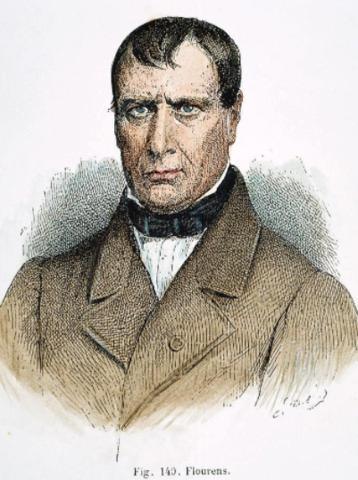 Teoría Holista- Pierre Flourens 1794 -1867