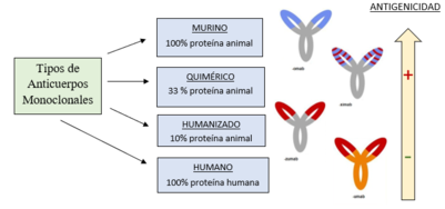 ANTICUERPOS MONOCLONALES