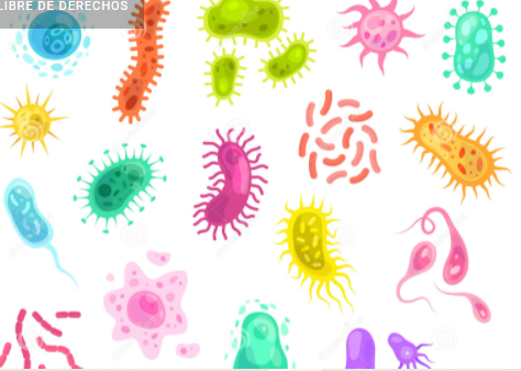 La teoría microbiana