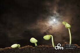 La Teoría Cósmica o Sideral