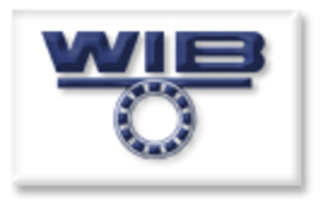 WIB