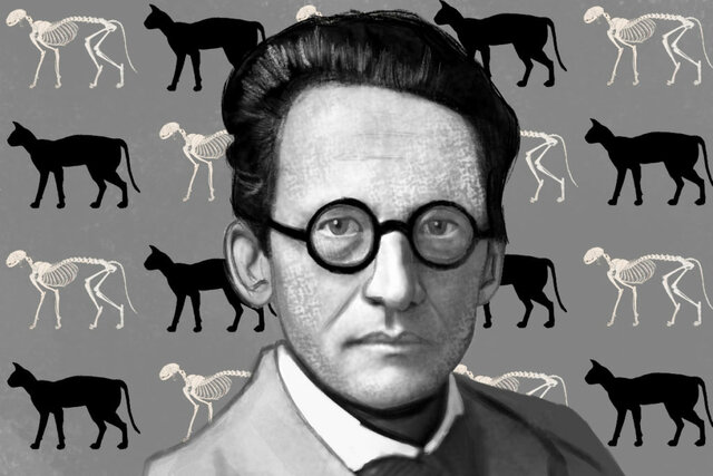 Bases de la cuántica 2-Schrödinger