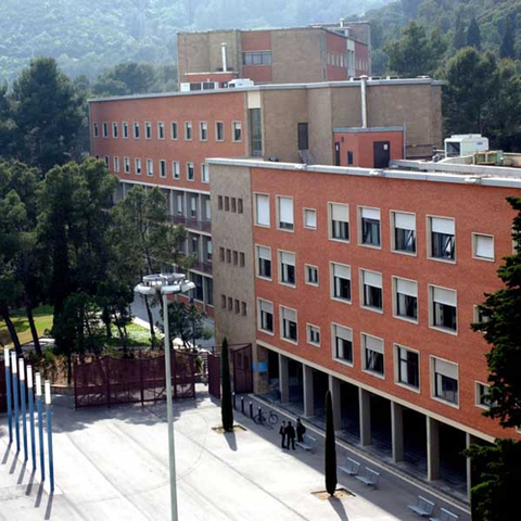 1r Any d'Universitat