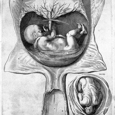 Timeline: LA HISTORIA DE LA MEDICINA