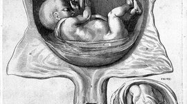 Timeline: LA HISTORIA DE LA MEDICINA