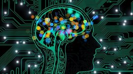 Timeline: NEUROCIENCIA