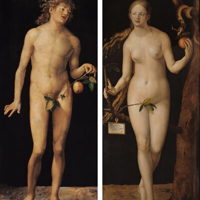 Timeline: El desnudo