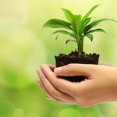 Timeline: Surgimiento y evolución de la Ingeniería Ambiental en Colombia