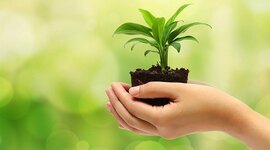 Timeline: Surgimiento y evolución de la Ingeniería Ambiental en Colombia