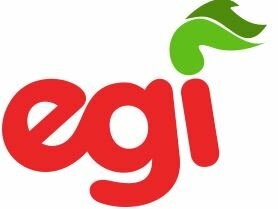 Nacimiento de EGI