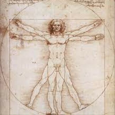 Timeline: La historia de la anatomia