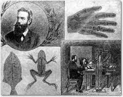 Comisión Internacional de Protección Radiológica