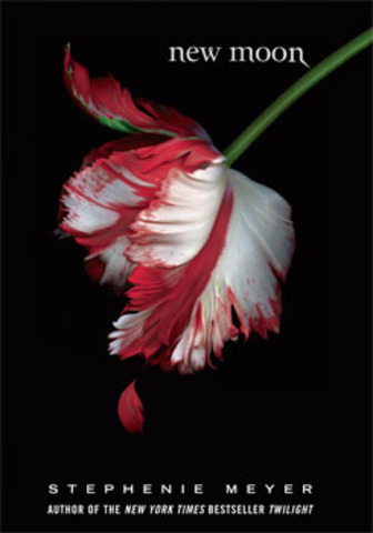 New Moon (book two) is released