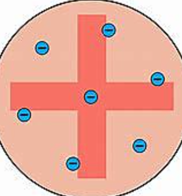 The plum pudding model