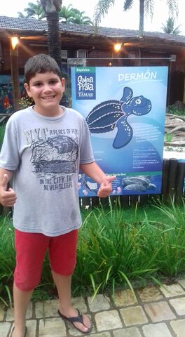 Visitei o projeto tamar