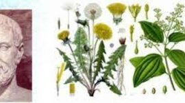 Timeline: Historia de la Fitopatología