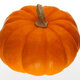 Pumpkin (2)