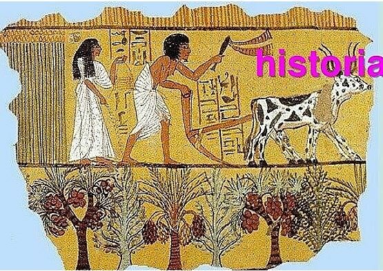 La enfermedad y la religión