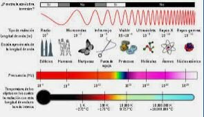 EFECTOS  BIOLÓGICOS DE LA RADIACIÓN
