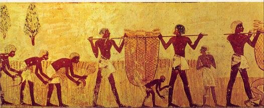 Revolución agrícola o neolítica