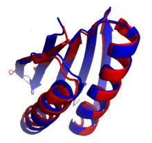 Brian Kuhlman y Gautam Dantas