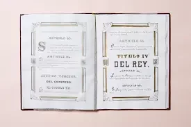 La nueva constitución de carácter democrático