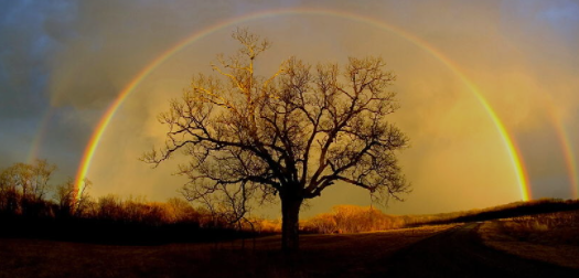 La teoría cósmica o sideral.