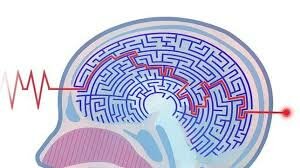 Clasificación de Ana Freud