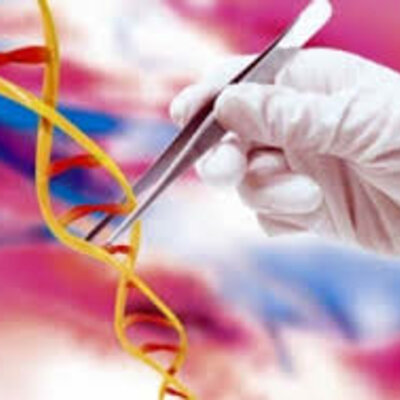 Timeline:  El origen del las enfermedades