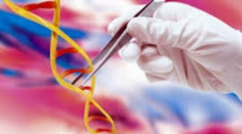 Timeline:  El origen del las enfermedades