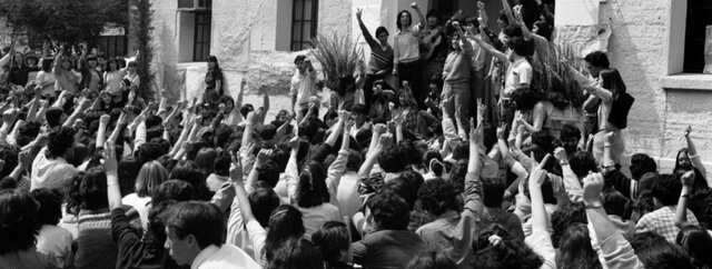 Feb 24, 1981, Ley de 1981