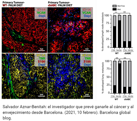 Salvador Aznar-Benitah y Gloria Pascual