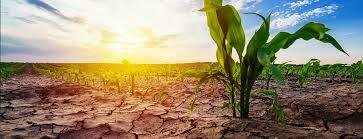 Otras nociones de causas.