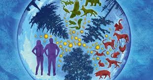 Otras nociones de causas.